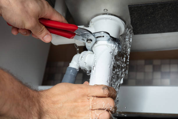Best Residential water damage restoration  in Alton, IA