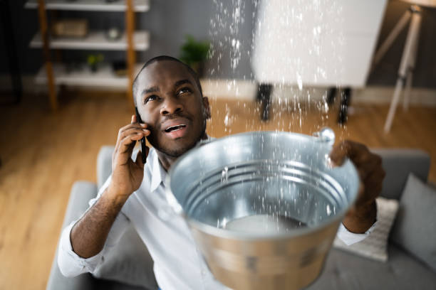 Best Water damage restoration near me  in Alton, IA