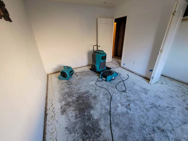 Best Commercial water damage restoration  in Alton, IA