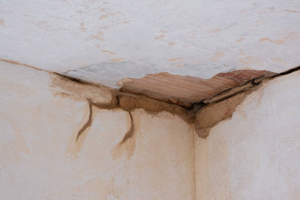 Best Professional water damage repair  in Alton, IA