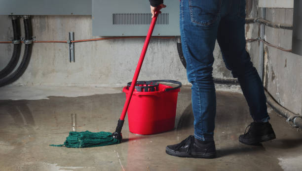 Best Local water damage restoration  in Alton, IA