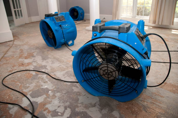 Best 24-hour water damage restoration  in Alton, IA
