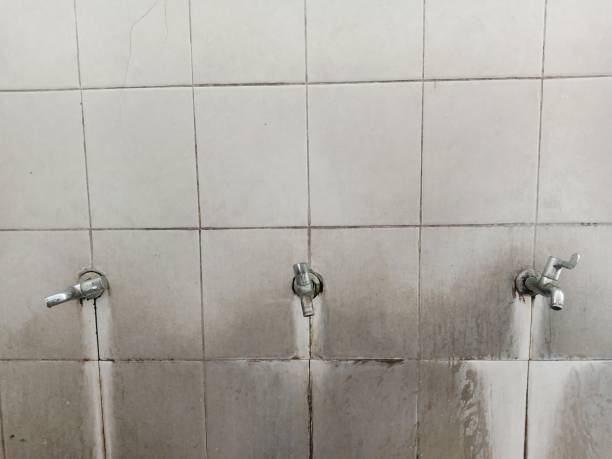 Best Basement water damage restoration  in Alton, IA