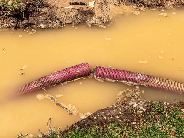 Carpet water damage restoration