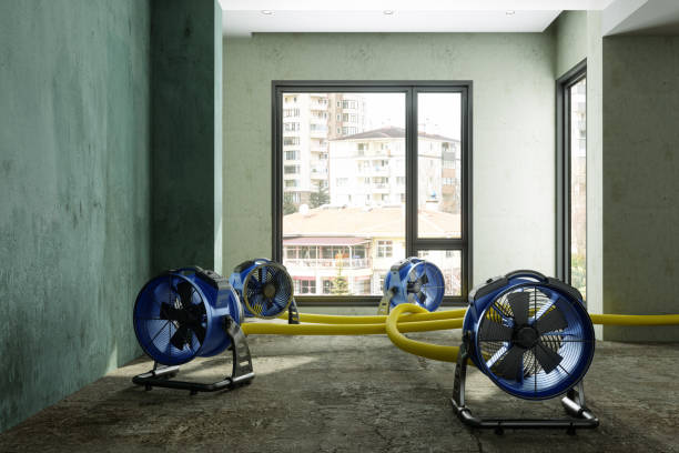 Best Water damage cleanup near me  in Alton, IA
